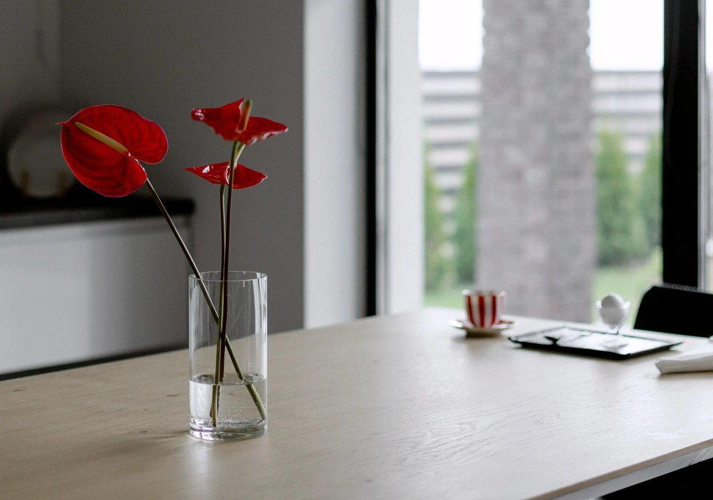 Lo que necesita saber para reformar tu casa en Madrid